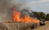 bushfires