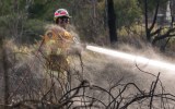 bushfires tasmania