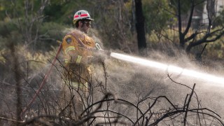 bushfires tasmania