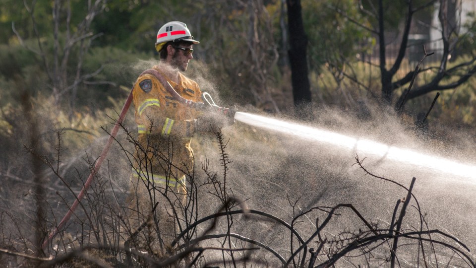 bushfires tasmania