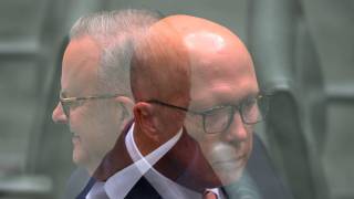 Dutton polls