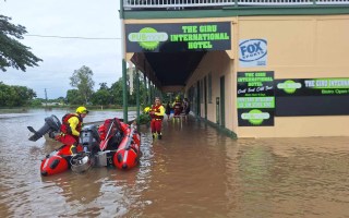 Queensland cyclone disease