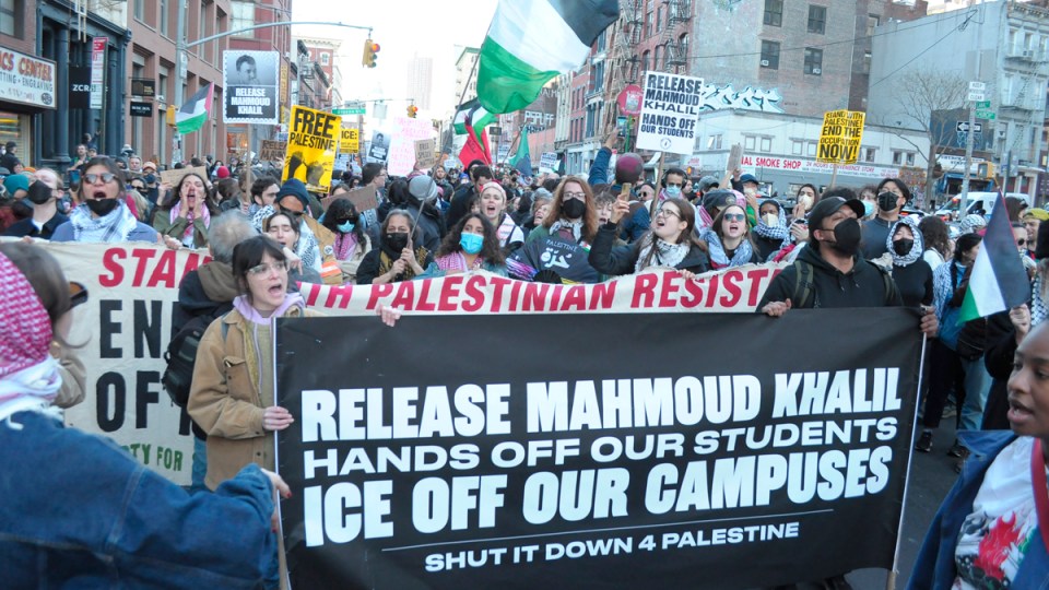 columbia palestine