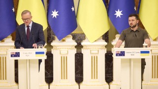 albanese ukraine peace call