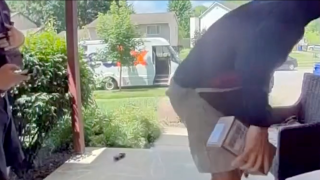 porch pirate