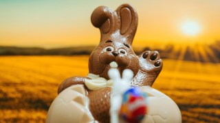 easter chocolate sustainable