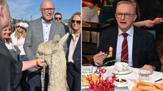 Dutton and Albanese