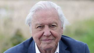attenborough