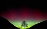 Sycamore Gap