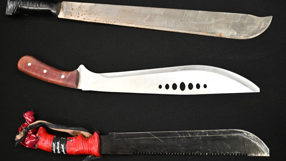 machete dandenong carjacking