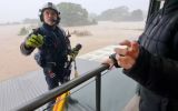taree floods