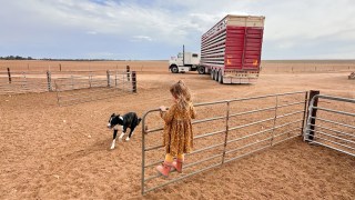 south australia drought