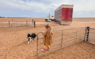 south australia drought