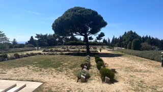 gallipoli lone pine