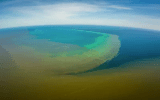 reef