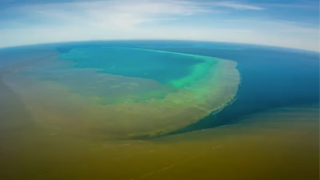 reef