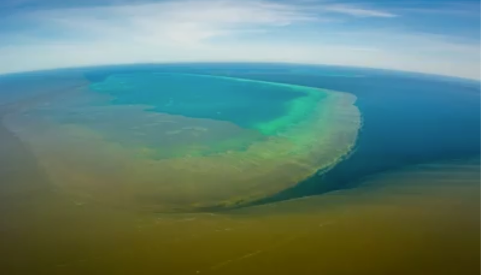 reef