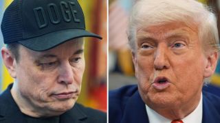 Elon Musk Donald Trump