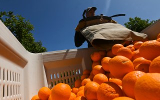 migrant workers