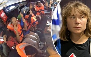 madleen gaza thunberg