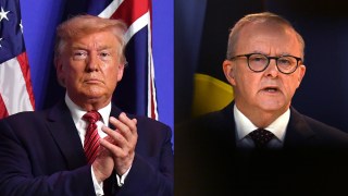 Albanese Trump meet