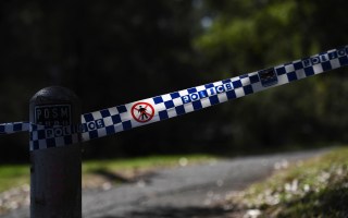 Homicide-bush-Sydney