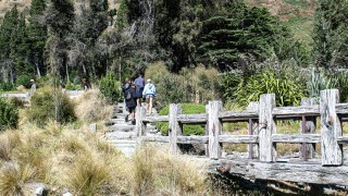 milford track
