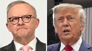 albanese trump