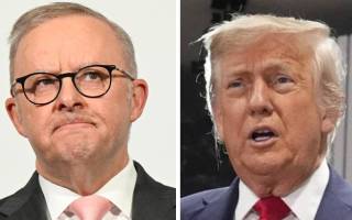 albanese trump