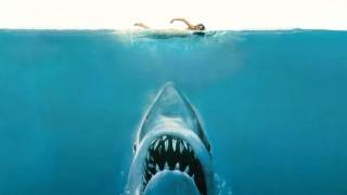 jaws