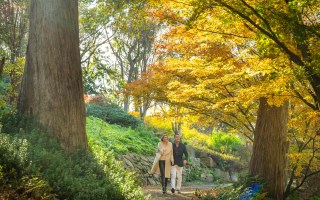 adelaide hills walks