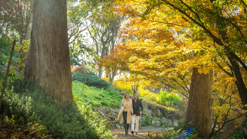 adelaide hills walks