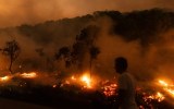 Greece wildfires