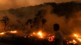Greece wildfires