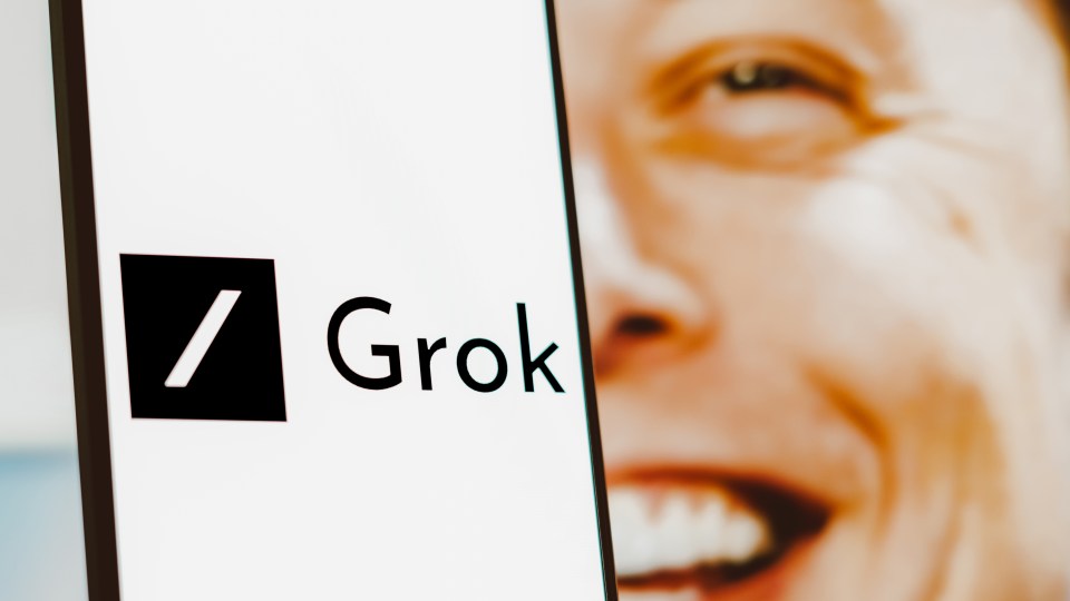 Musk and Grok