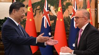 Xi Jinping and Albanese