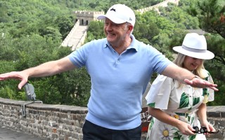 albanese china