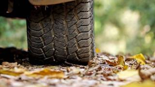 tyre plastic