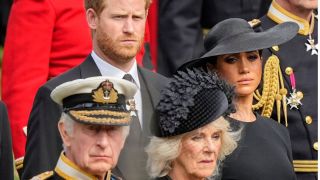 Harry and Meghan and Charles and Camilla