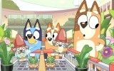bluey bunnings