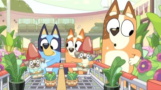 bluey bunnings