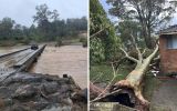 nsw storms