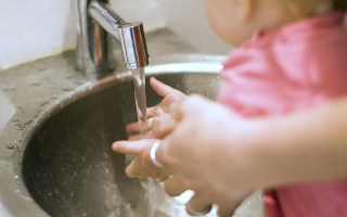 amoeba qld water