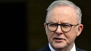 Albanese Newspoll