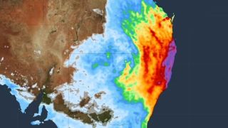 rain nsw
