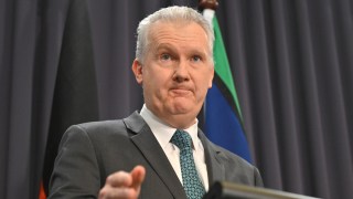 tony burke israel