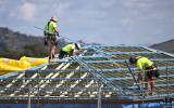 building standards freeze