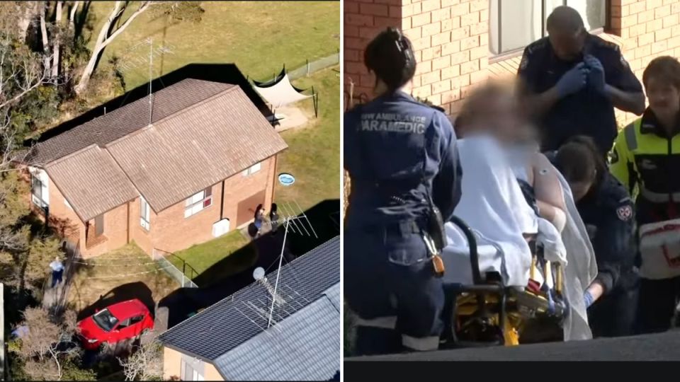 Blue Mountains police