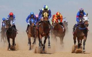 Birdsville racing